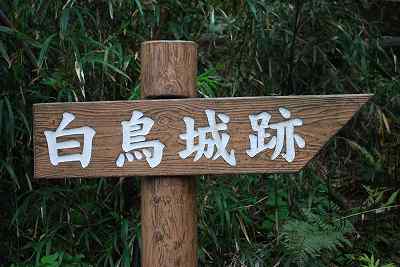 ���₶�̎