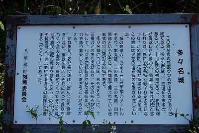 ���₶�̎