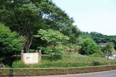 ���₶�̎