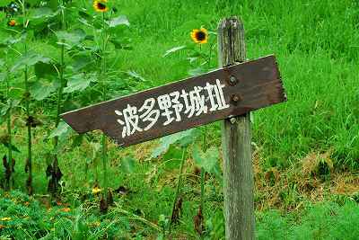 ���₶�̎