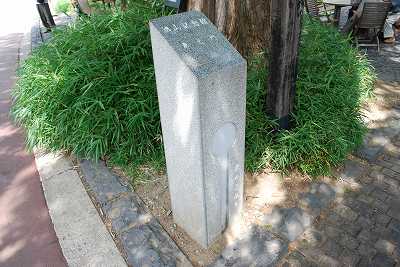 ���₶�̎