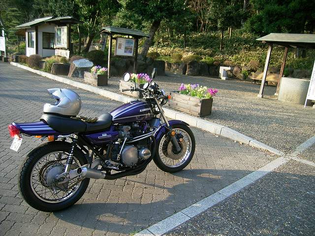 ���₶�̎