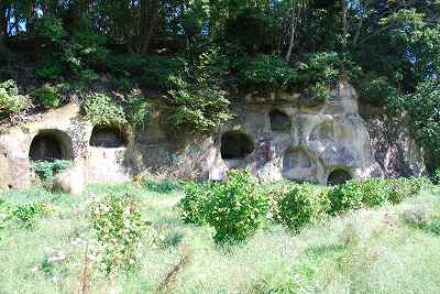 ���₶�̎