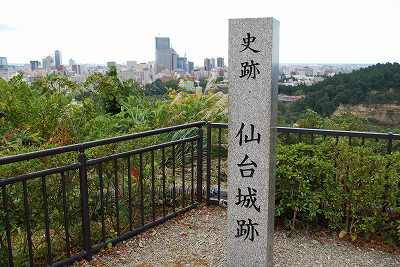 ���₶�̎