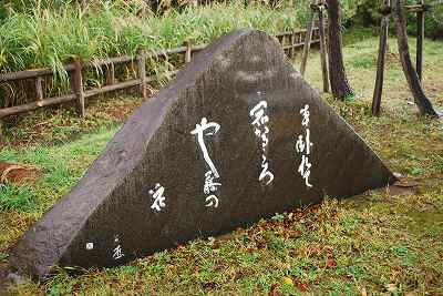 ���₶�̎