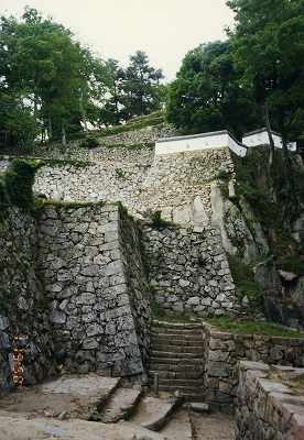 ���₶�̎