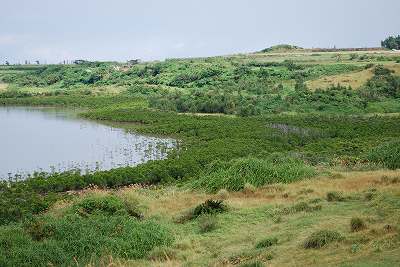 ���₶�̎