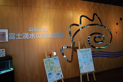 ���₶�̎