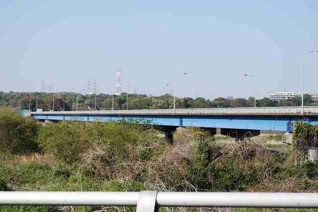 ���₶�̎