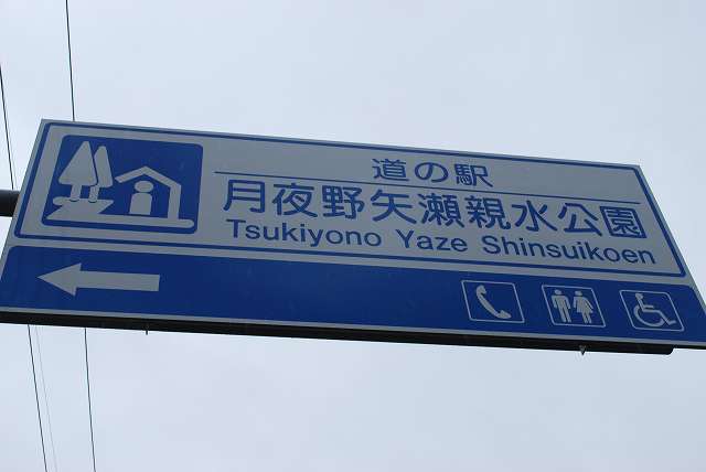 ���₶�̎