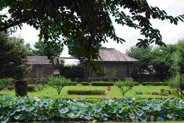 ���₶�̎