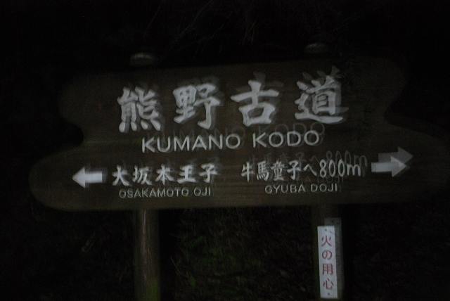 ���₶�̎