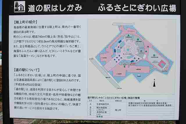 ���₶�̎