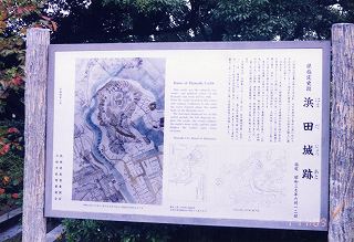 ���₶�̎