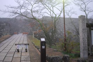 ���₶�̎