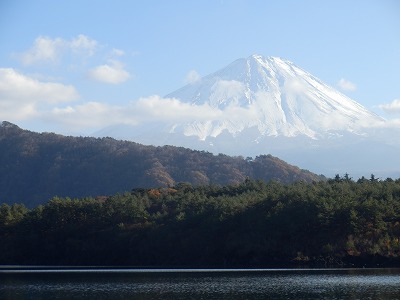 ���₶�̎