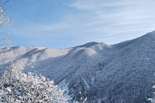 ���₶�̎