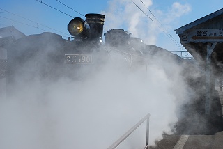 ���₶�̎