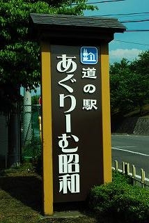 ���₶�̎