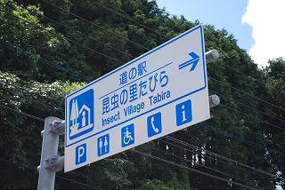 ���₶�̎