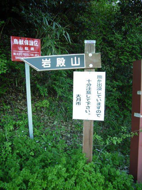 ���₶�̎