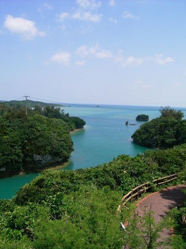 ���₶�̎