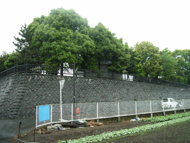 ���₶�̎