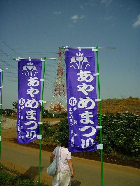 ���₶�̎