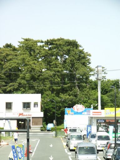 ���₶�̎