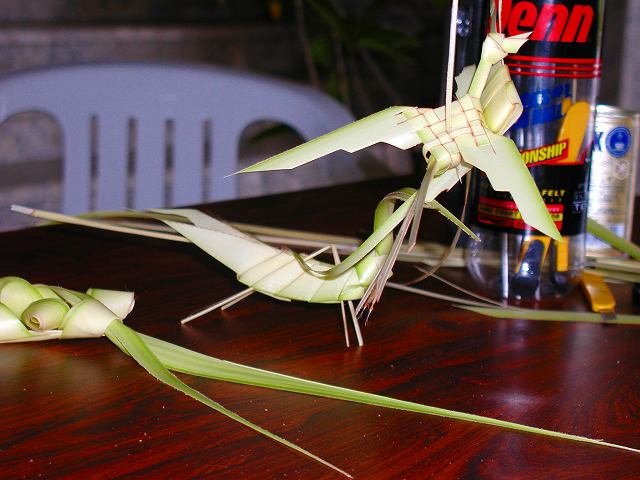 ���₶�̎