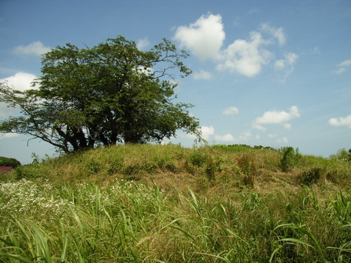 ���₶�̎