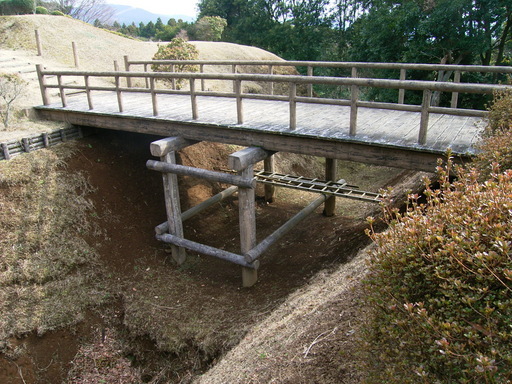 ���₶�̎