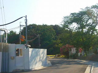 ���₶�̎