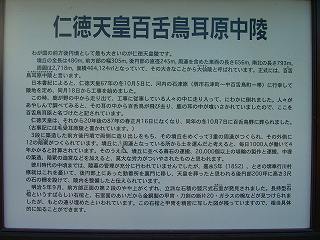 ���₶�̎