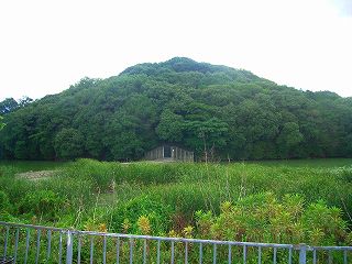 ���₶�̎