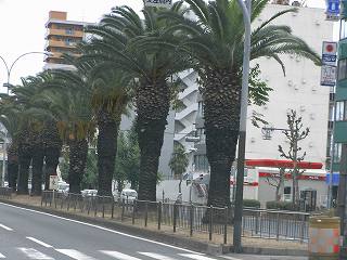 ���₶�̎