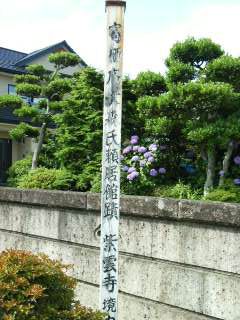 ���₶�̎