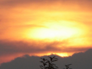 ���₶�̎