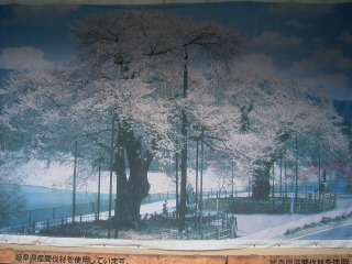 ���₶�̎