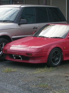 ���₶�̎