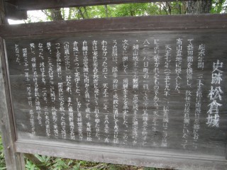 ���₶�̎