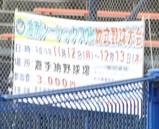 ���₶�̎