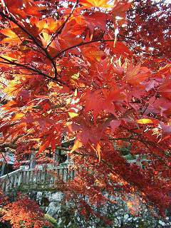 ���₶�̎