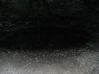 ���₶�̎