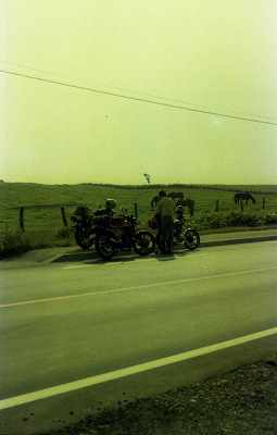 ���₶�̎