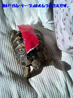 ���₶�̎