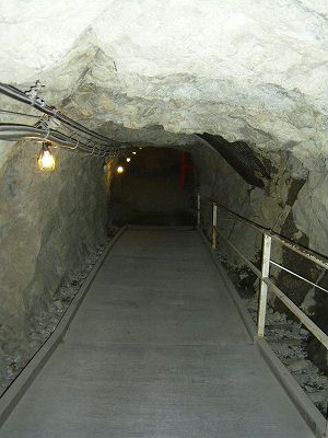 ���₶�̎