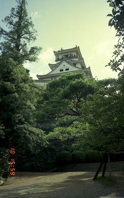 ���₶�̎