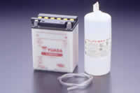 ���₶�̎