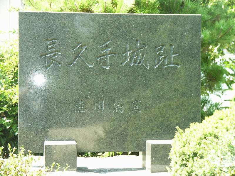 ���₶�̎